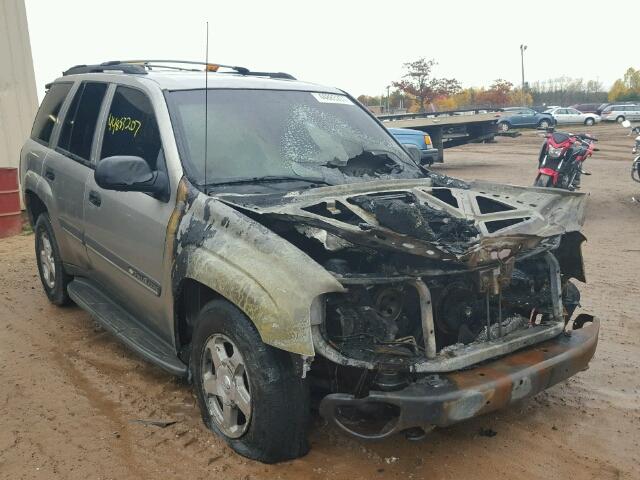 1GNDT13S122521223 - 2002 CHEVROLET TRAILBLAZE GOLD photo 1