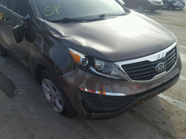 KNDPB3A26D7431109 - 2013 KIA SPORTAGE B BROWN photo 9