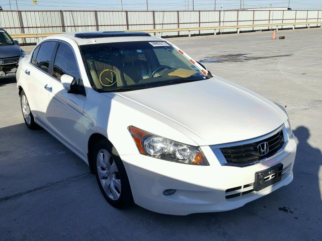 1HGCP36818A048377 - 2008 HONDA ACCORD EXL WHITE photo 1