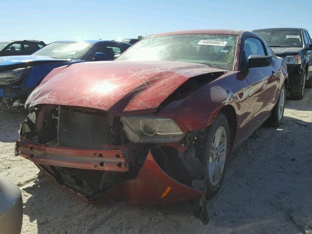 1ZVBP8AM6E5268577 - 2014 FORD MUSTANG RED photo 2