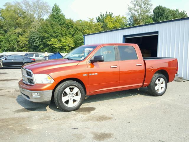 1D3HB13T59S701294 - 2009 DODGE RAM 1500 ORANGE photo 9