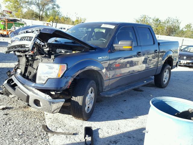 1FTFW1EF5EKD93629 - 2014 FORD F150 SUPER BLUE photo 2