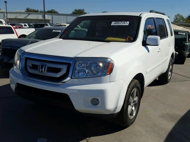 5FNYF3H49BB028846 - 2011 HONDA PILOT WHITE photo 2