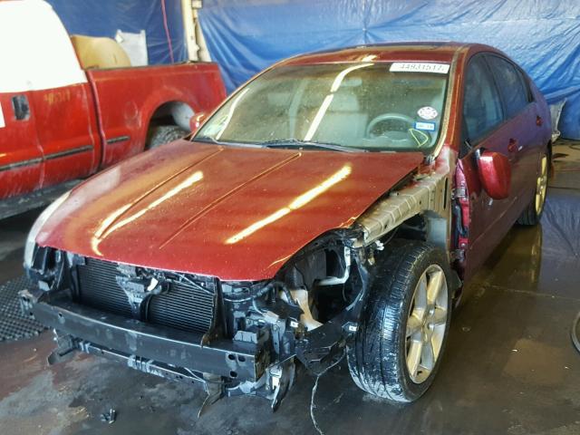 1N4BA41E15C846480 - 2005 NISSAN MAXIMA SE RED photo 2