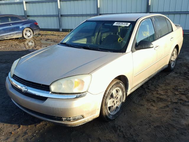 1G1ZT52875F253344 - 2005 CHEVROLET MALIBU LS BEIGE photo 2