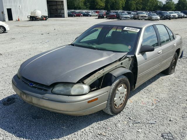 2G1WL52M0W9307416 - 1998 CHEVROLET LUMINA BAS TAN photo 2