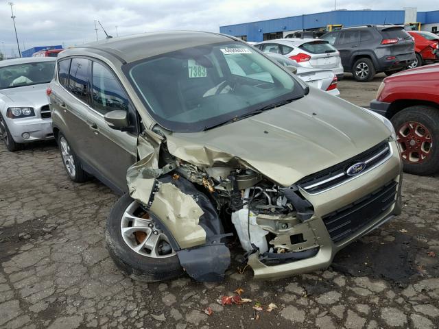 1FMCU0HX6DUB93669 - 2013 FORD ESCAPE SEL GREEN photo 1