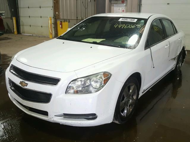 1G1ZC5E0XA4123053 - 2010 CHEVROLET MALIBU 1LT თეთრი ფოტო 2