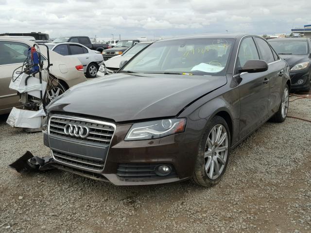 WAUEFAFL1BN002077 - 2011 AUDI A4 PREMIUM BROWN photo 2