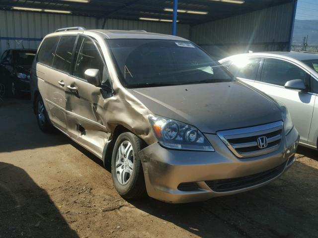 5FNRL386X7B425312 - 2007 HONDA ODYSSEY EX GOLD photo 1