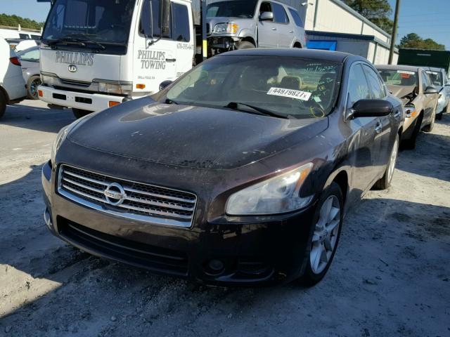 1N4AA5AP4BC834631 - 2011 NISSAN MAXIMA S BLACK photo 2