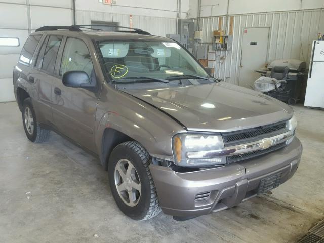 1GNDS13S262234644 - 2006 CHEVROLET TRAILBLAZE SILVER photo 1