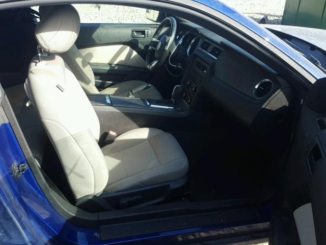 1ZVBP8AM2D5230696 - 2013 FORD MUSTANG BLUE photo 5