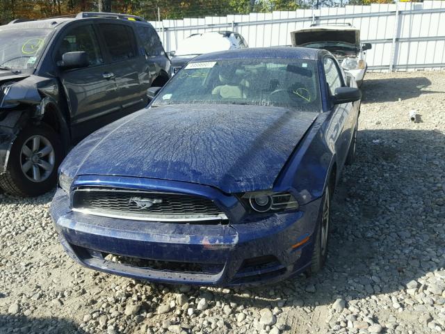 1ZVBP8AM2D5230696 - 2013 FORD MUSTANG BLUE photo 9