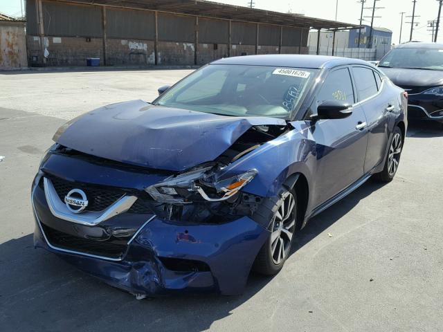 1N4AA6APXGC425773 - 2016 NISSAN MAXIMA 3.5 BLUE photo 2