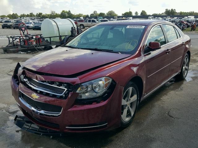 1G1ZJ57B29F254269 - 2009 CHEVROLET MALIBU 2LT BURGUNDY photo 2