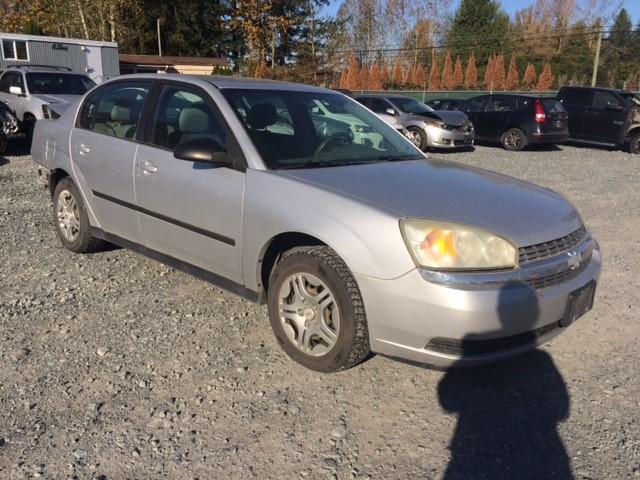 1G1ZS52F24F238301 - 2004 CHEVROLET MALIBU GRAY photo 1