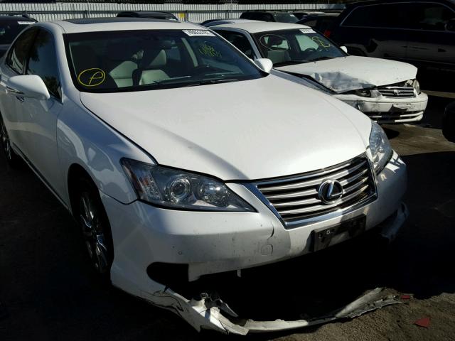 JTHBK1EG1B2451071 - 2011 LEXUS ES 350 WHITE photo 1