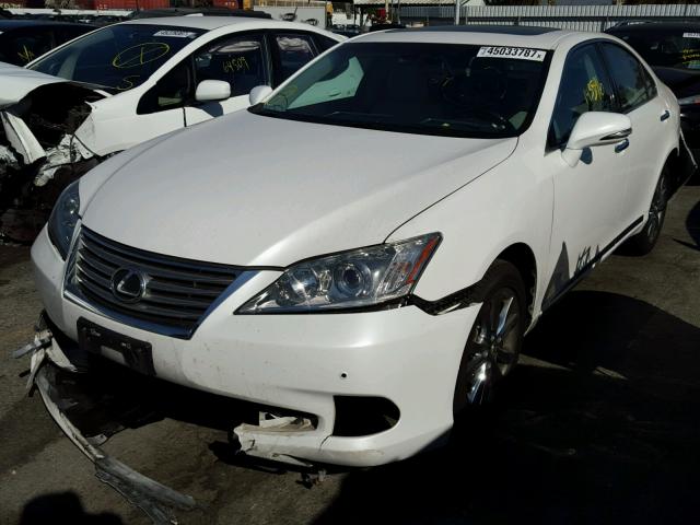 JTHBK1EG1B2451071 - 2011 LEXUS ES 350 WHITE photo 2