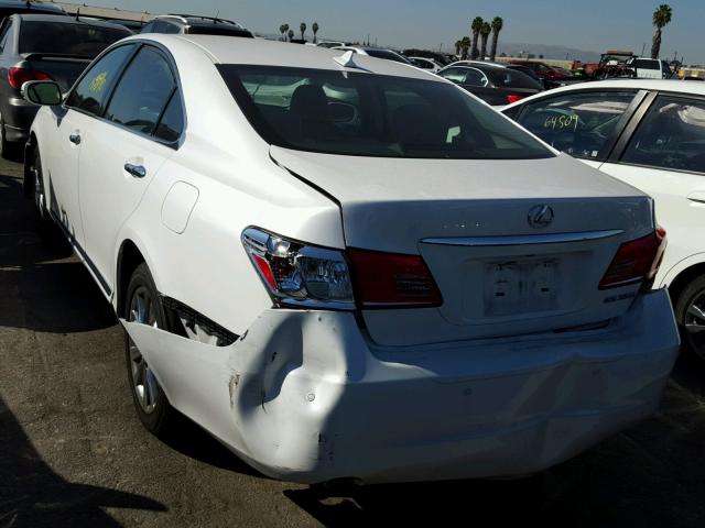 JTHBK1EG1B2451071 - 2011 LEXUS ES 350 WHITE photo 3