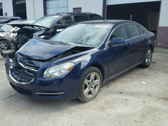 1G1ZC5EB2AF146929 - 2010 CHEVROLET MALIBU 1LT BLUE photo 2