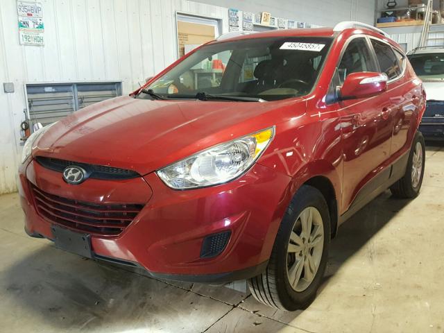 KM8JUCAC3CU529938 - 2012 HYUNDAI TUCSON RED photo 2