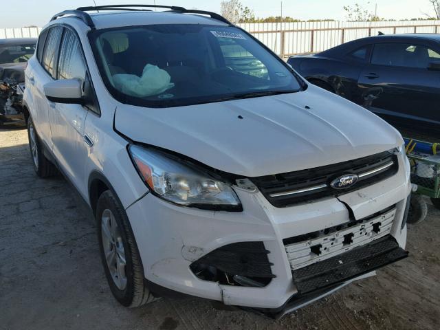 1FMCU0G91DUC01812 - 2013 FORD ESCAPE SE WHITE photo 1