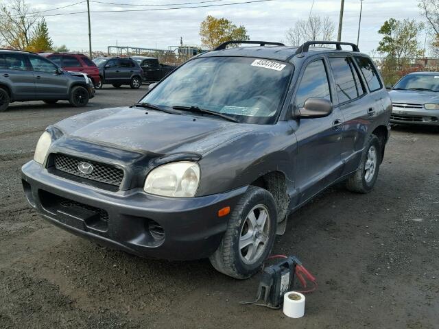 KM8SB13D44U717924 - 2004 HYUNDAI SANTA FE GRAY photo 2