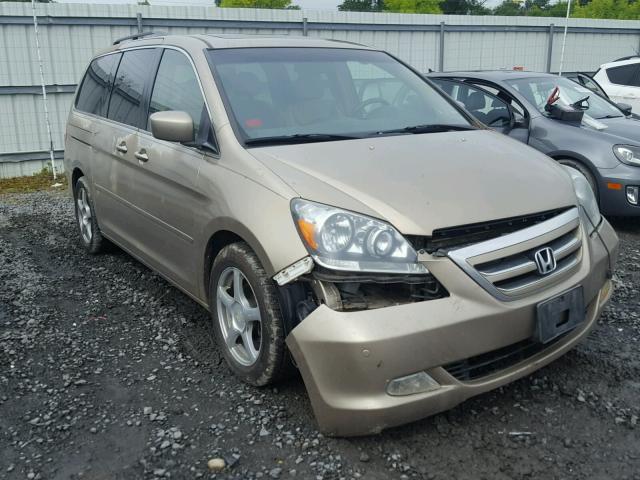 5FNRL38845B009920 - 2005 HONDA ODYSSEY TO GOLD photo 1