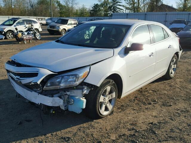 1G11B5SA4DF213756 - 2013 CHEVROLET MALIBU LS WHITE photo 2