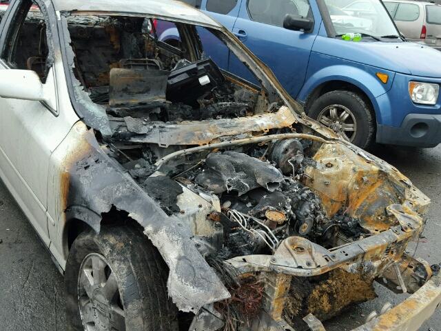 1LNHM86SX4Y683925 - 2004 LINCOLN LS 烧焦的 照片 9