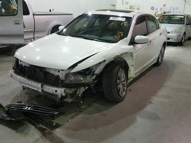 1HGCP3F84CA012689 - 2012 HONDA ACCORD EXL Ağ foto 2