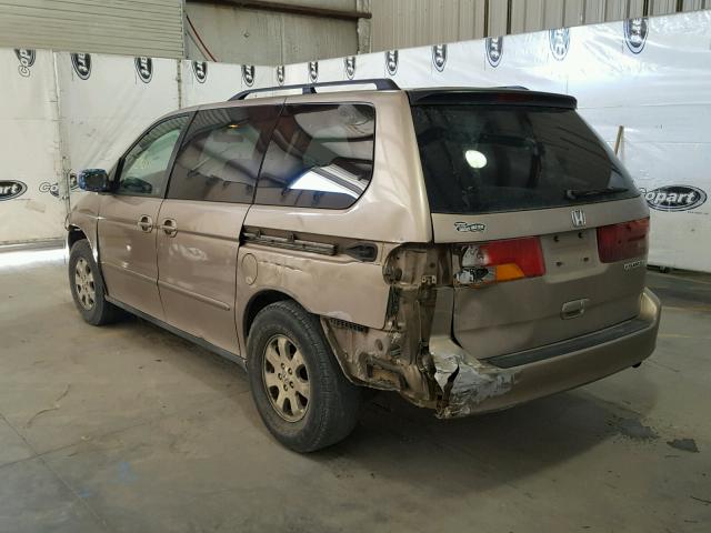 5FNRL18653B082987 - 2003 HONDA ODYSSEY EX TAN photo 3