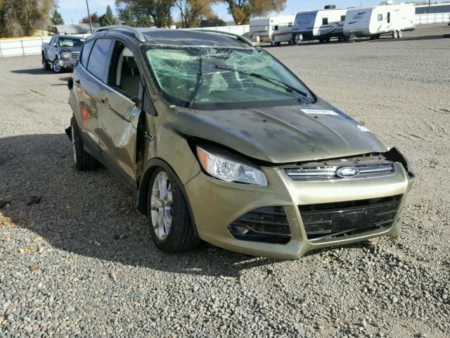 1FMCU9J95EUB48417 - 2014 FORD ESCAPE TIT GOLD photo 1