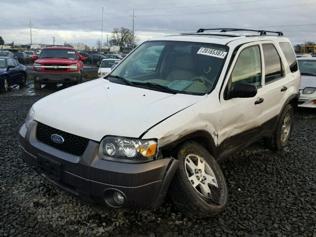 1FMYU93195KA12722 - 2005 FORD ESCAPE WHITE photo 2