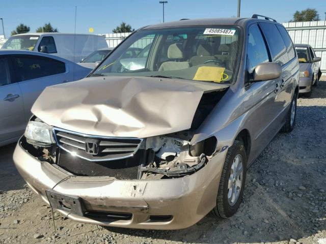 5FNRL18854B125811 - 2004 HONDA ODYSSEY EX GOLD photo 2