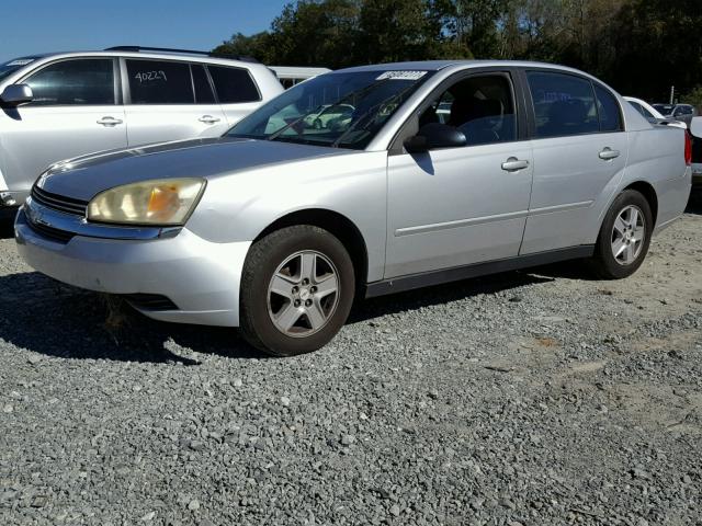 1G1ZT54815F134492 - 2005 CHEVROLET MALIBU LS SILVER photo 2