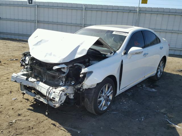 JTHBK1EG8A2371801 - 2010 LEXUS ES 350 WHITE photo 2