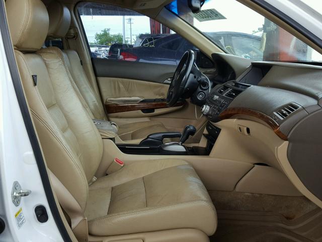 1HGCP26839A120045 - 2009 HONDA ACCORD EXL WHITE photo 5