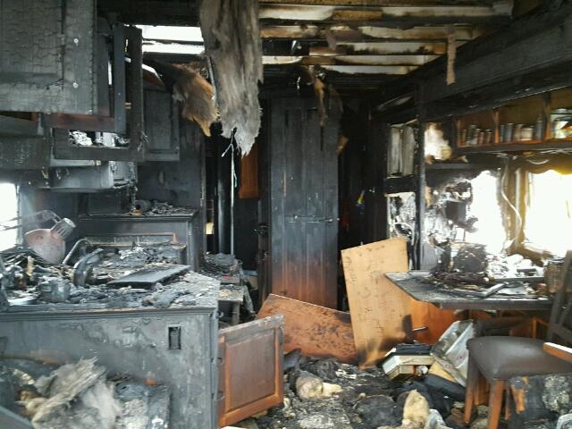 1RF45464871041364 - 2007 ROADMASTER RAIL MONOCOQUE Зелений фото 5