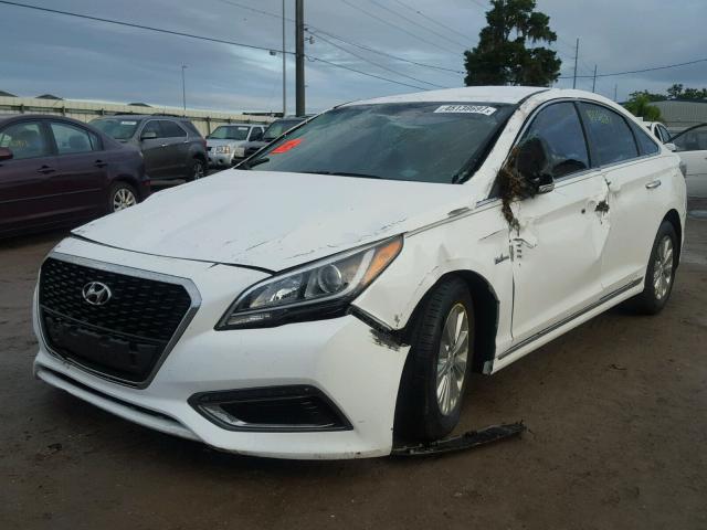 KMHE24L1XGA040727 - 2016 HYUNDAI SONATA HYB WHITE photo 2