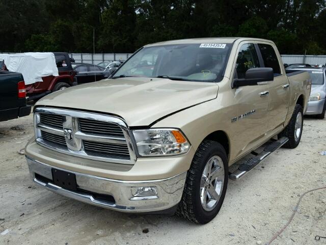 1D7RV1CT9BS524636 - 2011 DODGE RAM 1500 GOLD photo 2