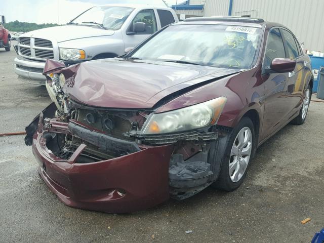 1HGCP36889A013191 - 2009 HONDA ACCORD EXL BURGUNDY photo 2