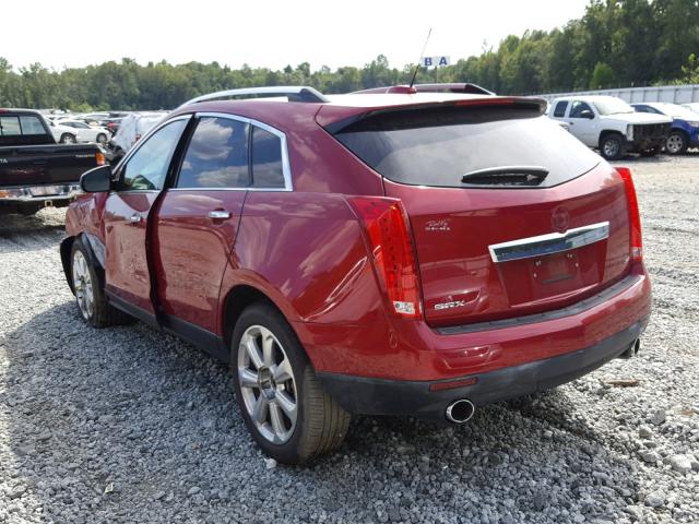 3GYFNCE31GS538557 - 2016 CADILLAC SRX PERFOR 红色 照片 3