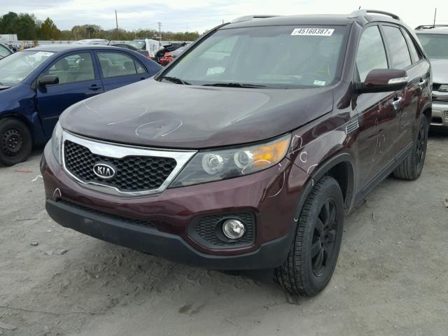 5XYKT3A64CG249243 - 2012 KIA SORENTO BA BURGUNDY photo 2