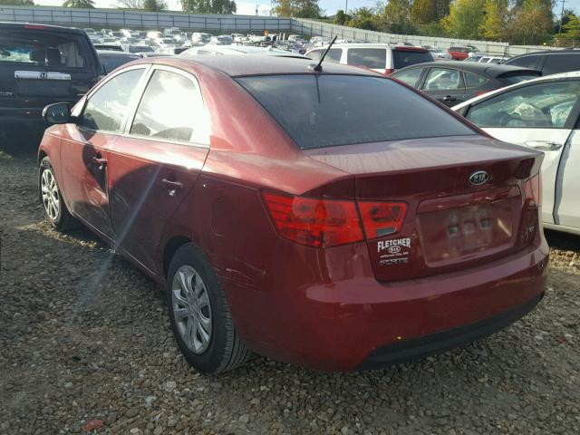 KNAFU4A26B5462765 - 2011 KIA FORTE EX RED photo 3