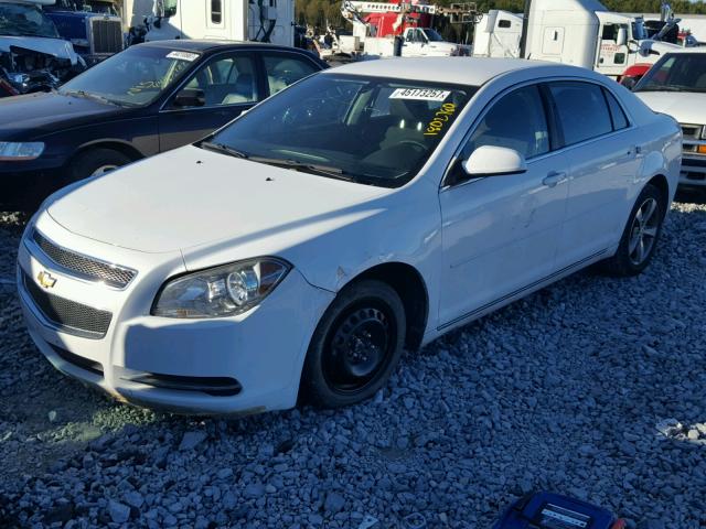 1G1ZC5EU3BF298883 - 2011 CHEVROLET MALIBU 1LT WHITE photo 2