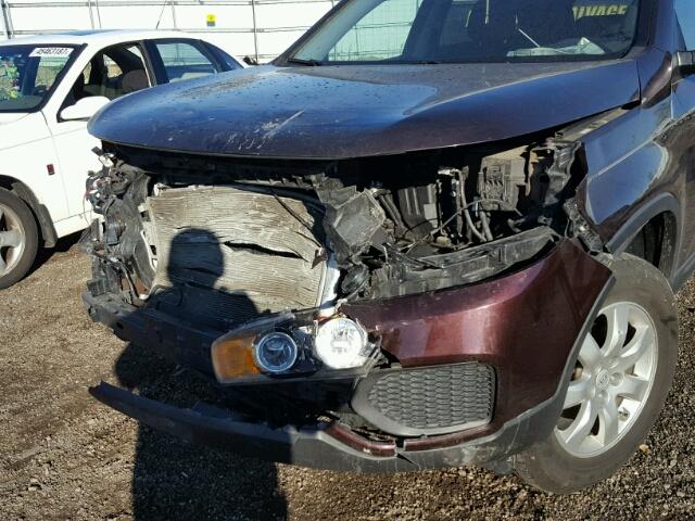 5XYKT3A10BG153340 - 2011 KIA SORENTO BA BURGUNDY photo 9