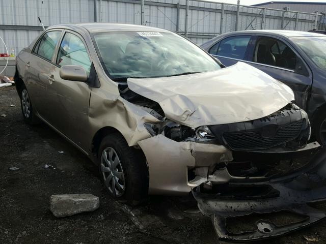 2T1BU4EE3AC292811 - 2010 TOYOTA COROLLA BA GOLD photo 1