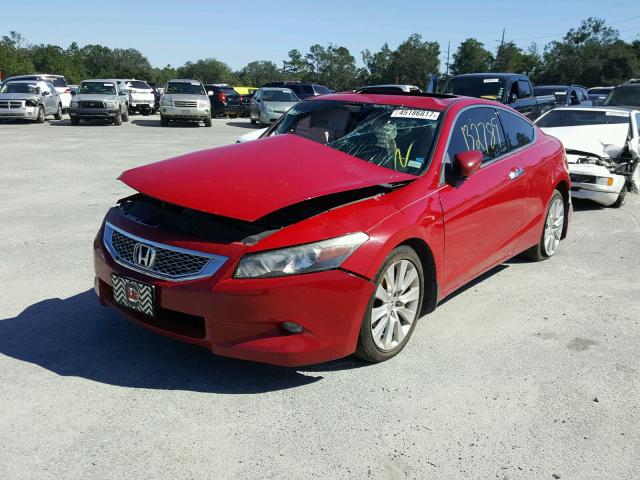 1HGCS2B83AA005194 - 2010 HONDA ACCORD RED photo 2